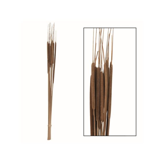 Typha Small 70Cm Naturel 15St.