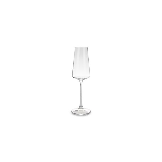 S&P Champagneglas 23Cl Muze - Set/4