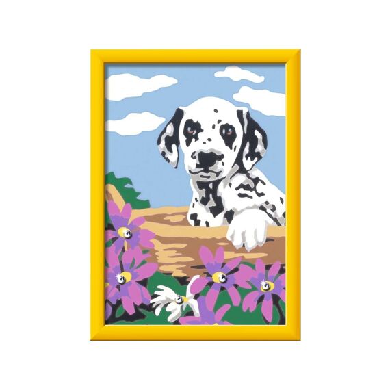 S E Dalmatier Puppy