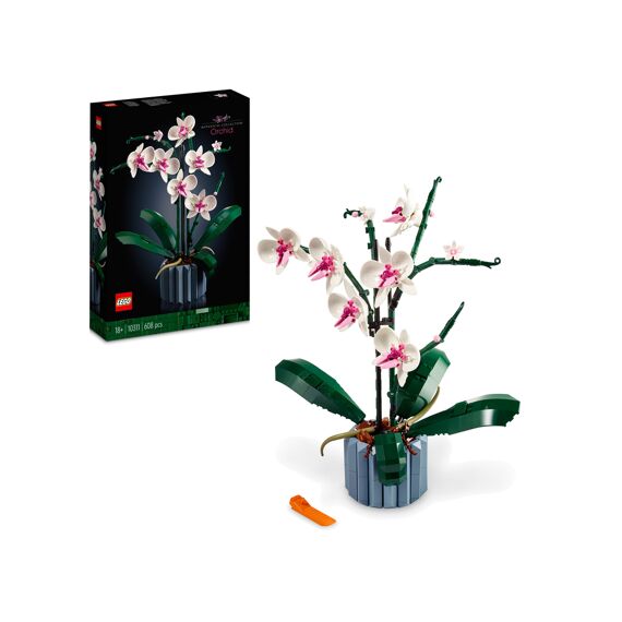 LEGO Icons 10311 Orchidee