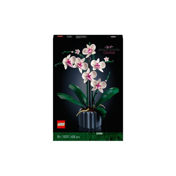 LEGO Icons 10311 Orchidee