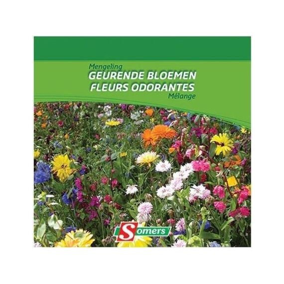 Vilmorin Geurende Bloemen  50M²