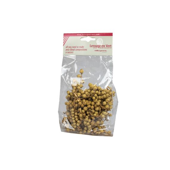 Cannella Big Naturel 50Gr