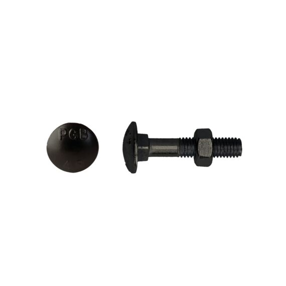 Houtbout 4.8 Din 603/555 M 8X55 Bt/4St
