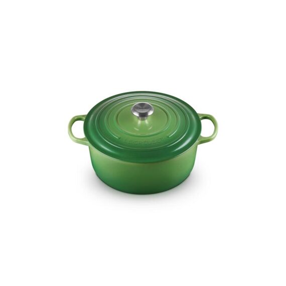 Le Creuset Ronde Braad-/Stoofpan 24Cm Bamboo Green Rvs Knop