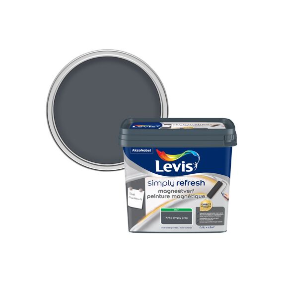 Levis Simply Refresh Magneetverf Mat Grey 500 Ml