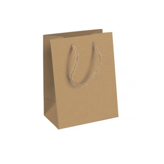 Raw Kraft Medium Bag 21.5X10.2X25.3Cm