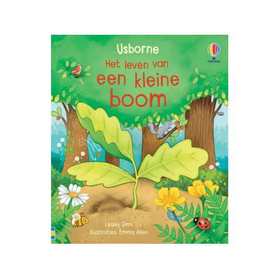 Het Leven Van Een Kleine Boom
