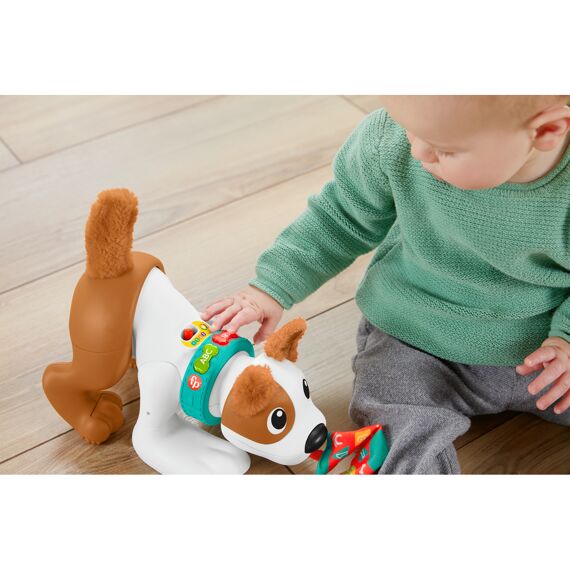 Fisher Price 123 Kruip Met Mij Puppy