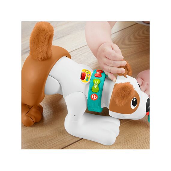 Fisher Price 123 Kruip Met Mij Puppy