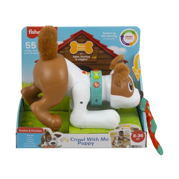 Fisher Price 123 Kruip Met Mij Puppy