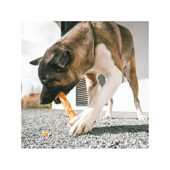 Duvo+ Kip En Runderhuid Sticks Large 25 Cm - 2St
