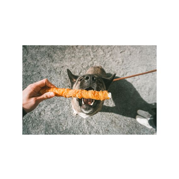 Duvo+ Kip En Runderhuid Sticks Large 25 Cm - 2St