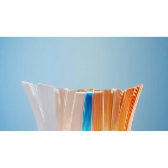 Philips Hx9092/10 Sonicare Opzetborstels Per 2St