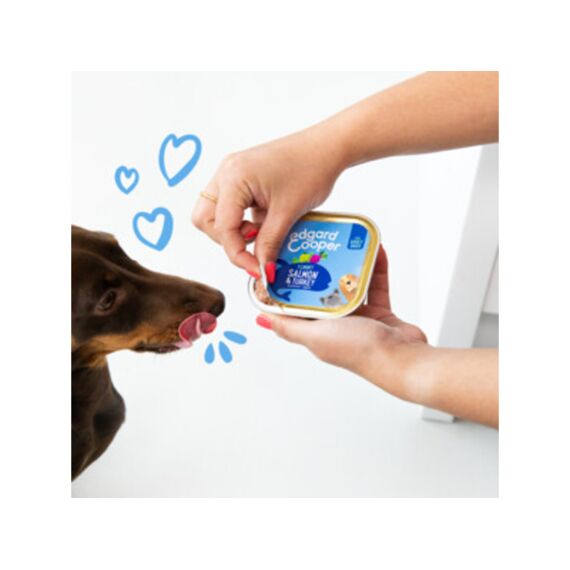 Edgard & Cooper Adult Dog Salmon & Turkey With Beetroot, Apple And Peas Cup Paté 150Gr