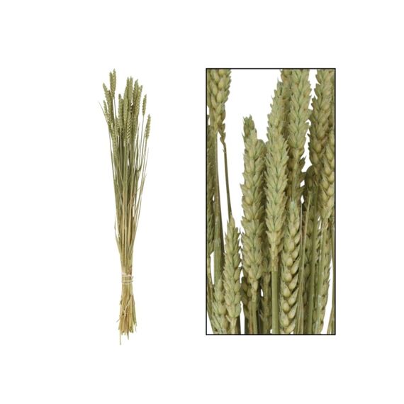 Bunch Triticum Nature 70X10X5Cm Soft Green