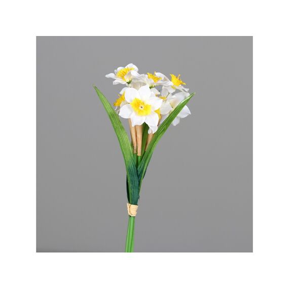 Daffodil Bundle 28 Cm Cream