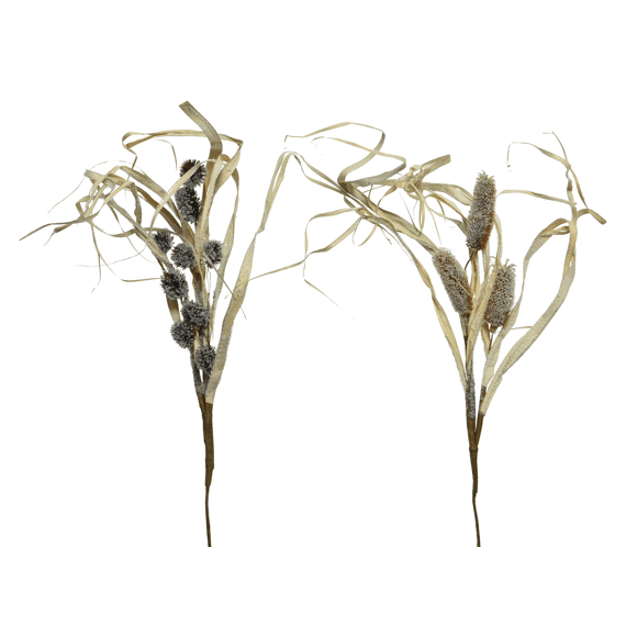 Spray Maisblad Snow Bristlegrass Pinecones L3Xw30Xh65Cm Naturel 2 Assortiment Prijs Per Stuk