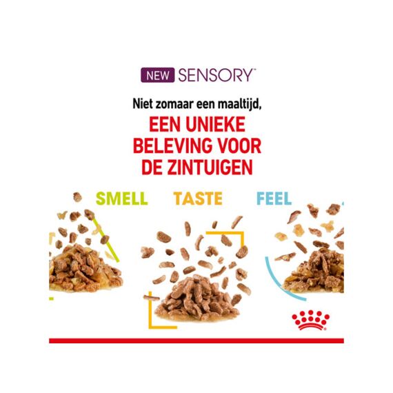 Royal Canin Cat Fhn Sensory Feel In Gravy 85G