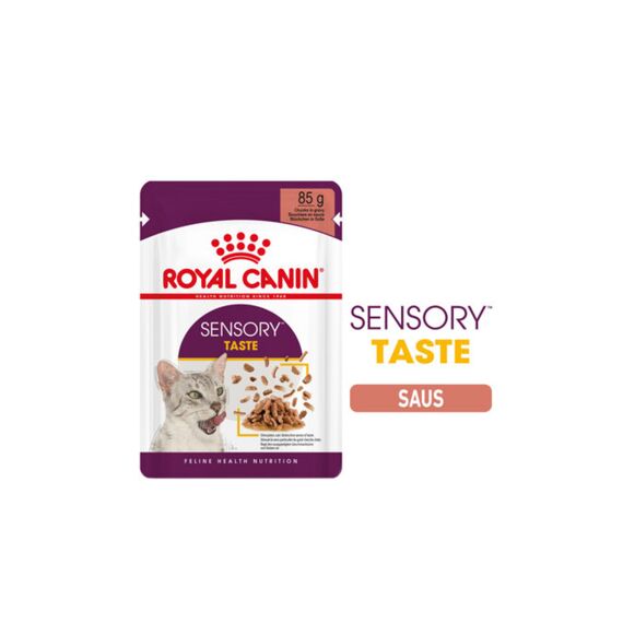 Royal Canin Cat Fhn Sensory Taste In Gravy 85G