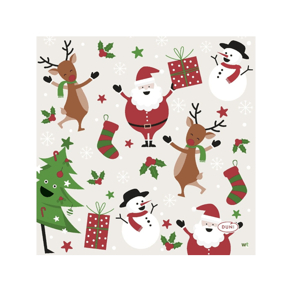 Duni Servet 33X33Cm 20 Stuks Jolly Friends