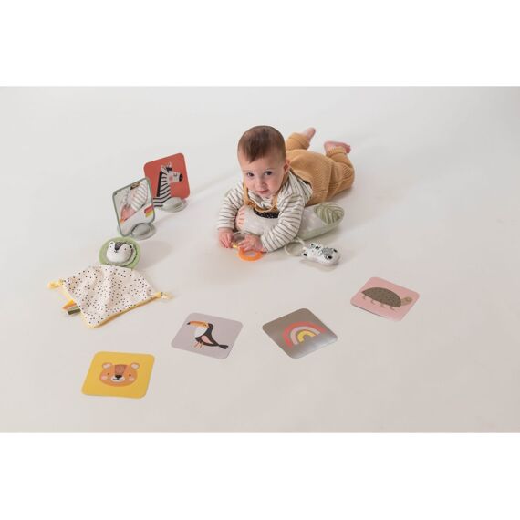 Taf Toys Newborn Develop And Play Kit