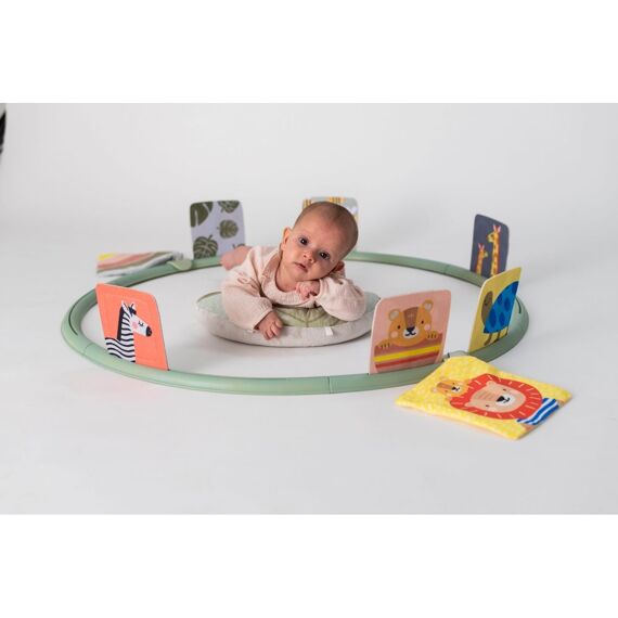 Taf Toys Tummy Time Trainer