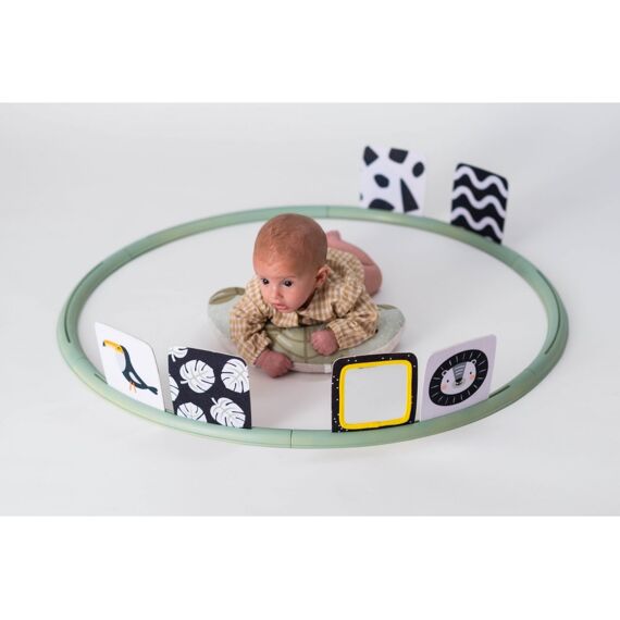 Taf Toys Tummy Time Trainer