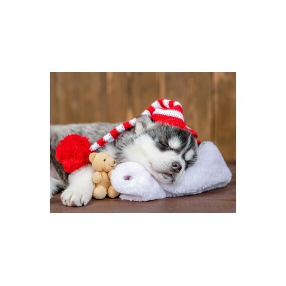 Placemat Pp Bedrukt 28.5X43.5Cm Happy Howlidays