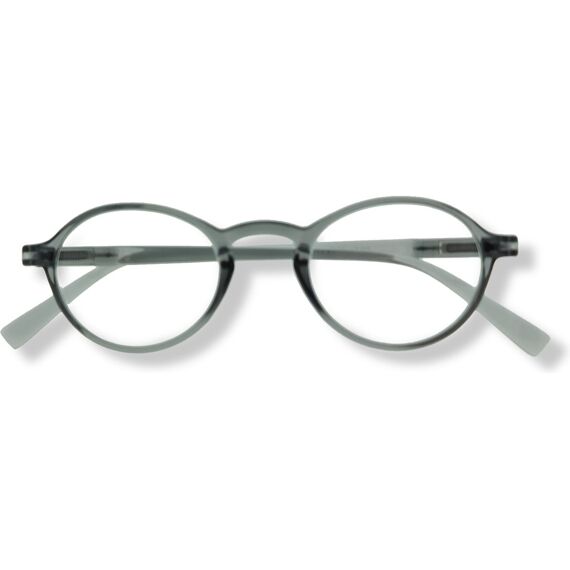 Icon Eyewear Bern Leesbril Helder Grijs + 2.00
