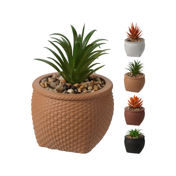 Vetplant In Pot 11Cm 4Assortiment