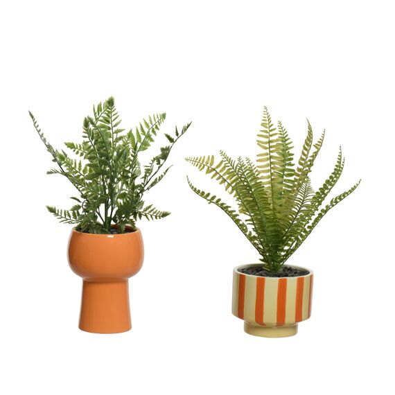 Plant Pe L11.50-W11.50-H33.00Cm Green/Colour(S)