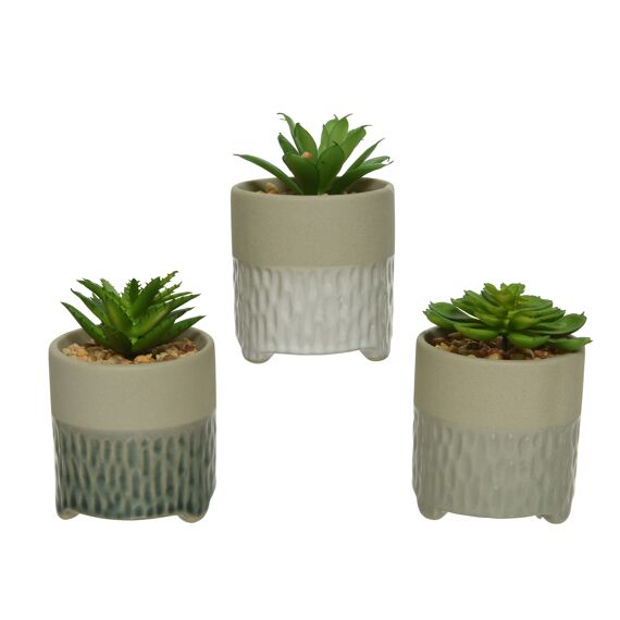 Vetplant Plastic L6.50-W6.50-H9.50Cm Green
