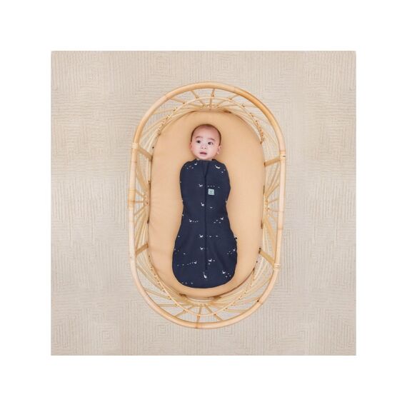 Ergococoon Inbaker Slaapzak 6-12M Lucky Ducks Tog 1.0