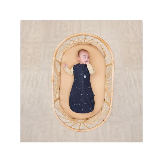 Ergococoon Inbaker Slaapzak 6-12M Lucky Ducks Tog 1.0
