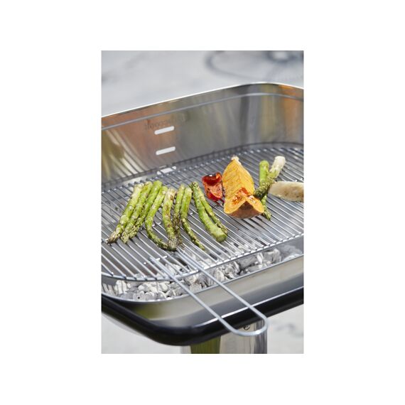 Barbecook Braadrooster Uit Roestvast Staal Voor Arena En Loewy 55 55X33.6Cm