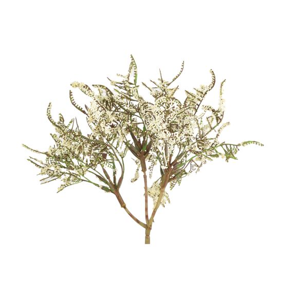 Limonium Bundel Top Crème L15B15H41Cm