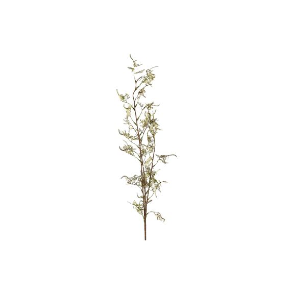 Limonium S Crème L15B20H99Cm