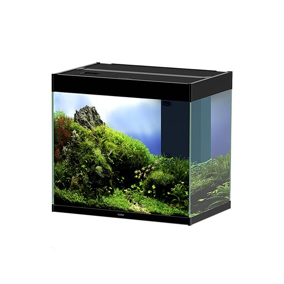 Ciano Aquarium Emotions Nature Pro 60 61,2X40,2X56Cm Zwart