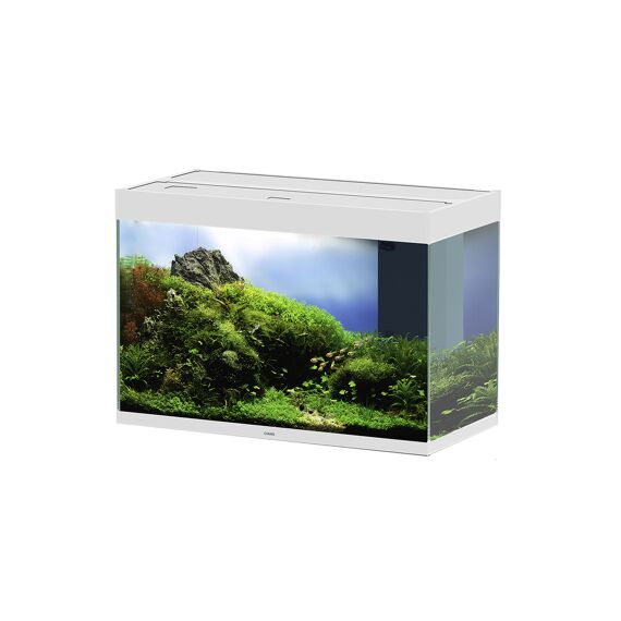 Ciano Aquarium Emotions Nature Pro 80 81,2X40,2X56Cm Wit