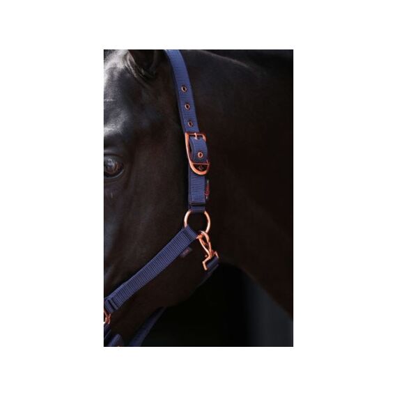 Halster Classy- Navy Maat Pony