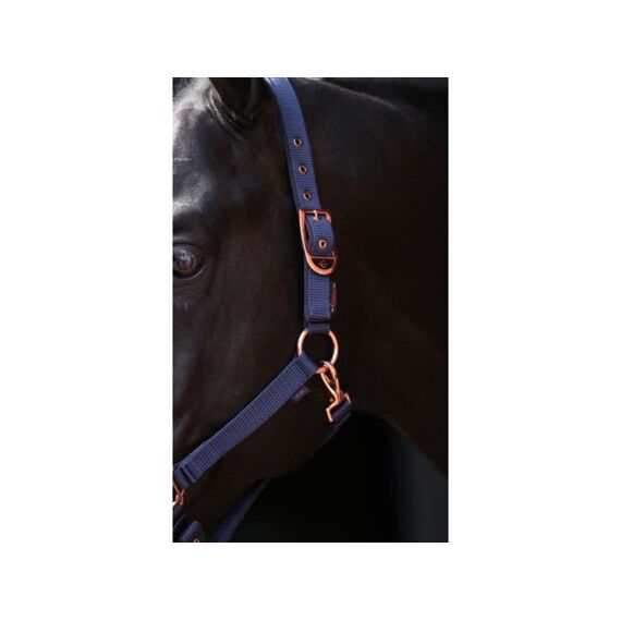 Halster Classy- Navy Maat Cob