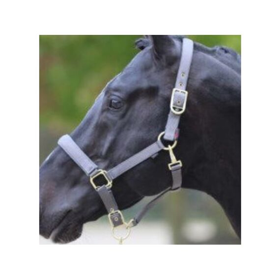 Halster Classy- Stone Maat Pony