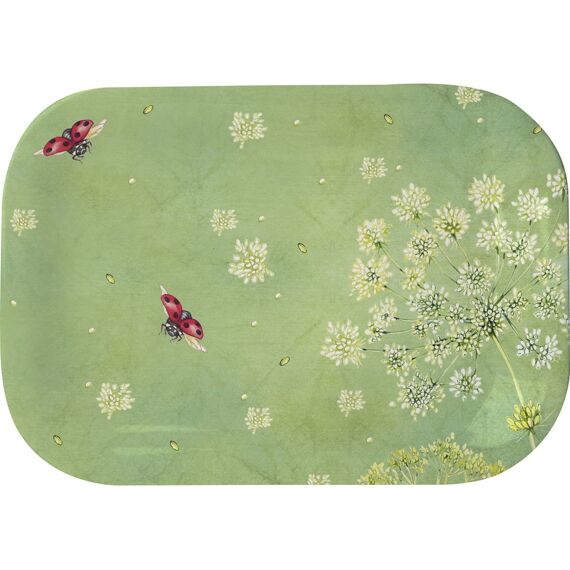IHR Ladybirds Schenkbord Snacks 20x14