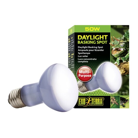 Exo Terra Ex Daglicht Warmtespot R20 50W - 6X6X10,5Cm 6X6X10,5Cm I6 O120 P1440