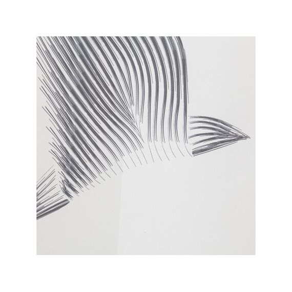 Sealskin Birds Douchegordijn 180X200 Cm Polyester Zwart / Wit