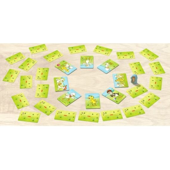 Haba Spel - Ganzenpas