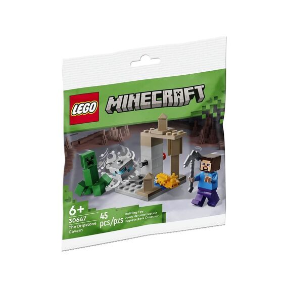 LEGO Minecraft 30647 De Druipsteengrot