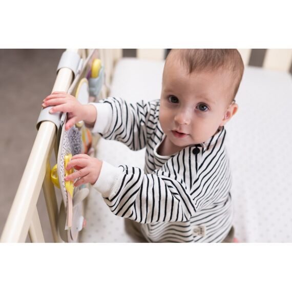 Taf Toys Developmental Acitiveitencenter