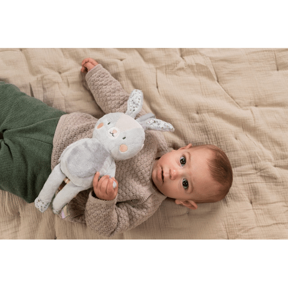 Taf Toys Rylee Muziekkonijn